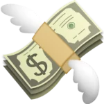 Money with Wings Emoji 1024x1024.png